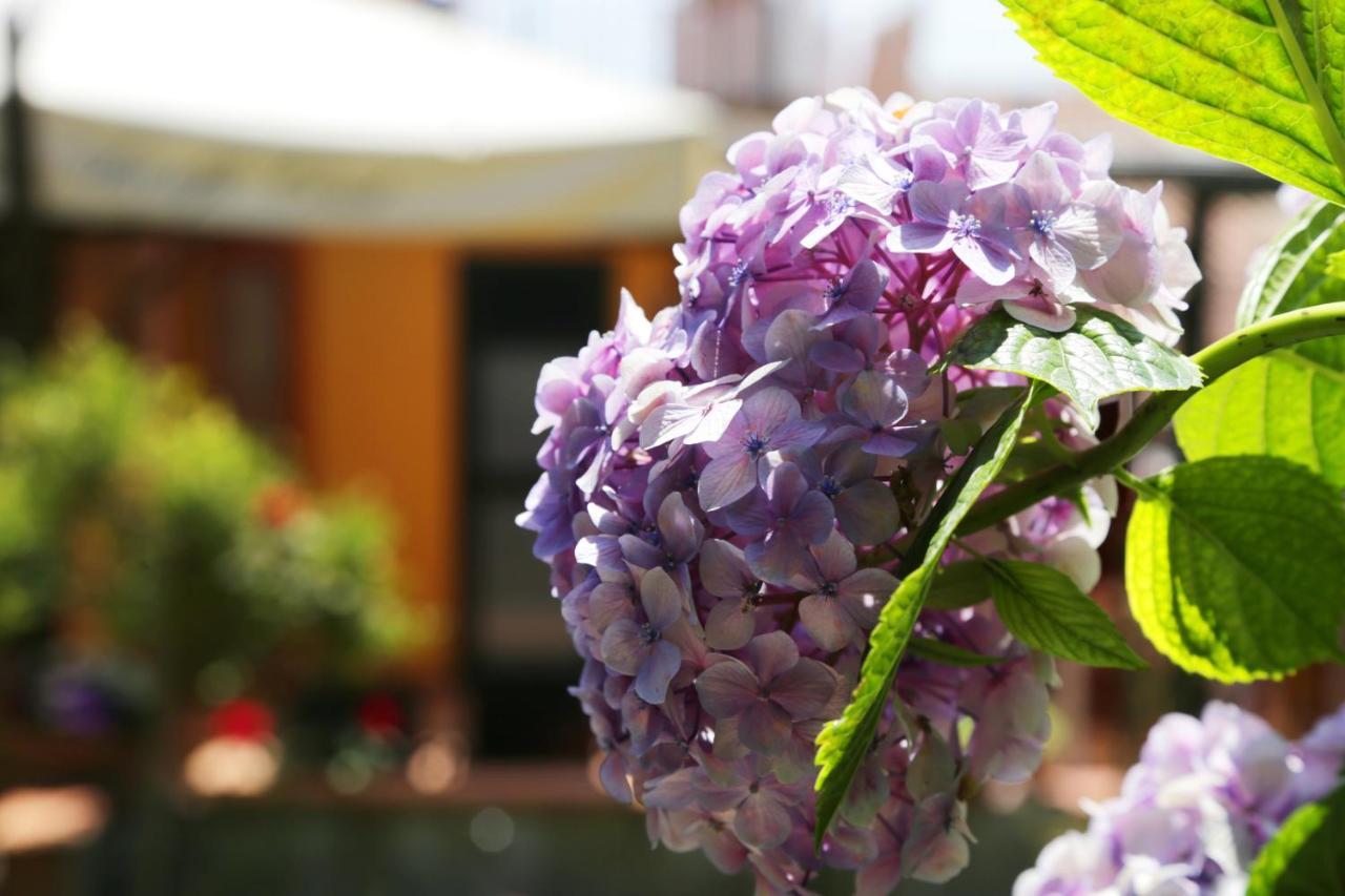 Casa Rosaria Amalfi Coast Bed and Breakfast Vietri Exteriör bild